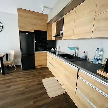 Apartment Unique - 15 Minutes To Gdansk Old Town Borkowo (Gdansk)